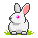 icona coniglio