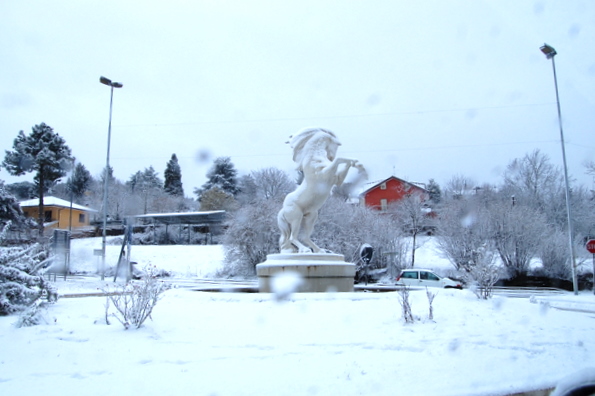 Rocca Priora cavallo sotto la neve